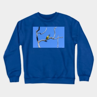 Couch's Kingbird - Dragonfly For Lunch Crewneck Sweatshirt